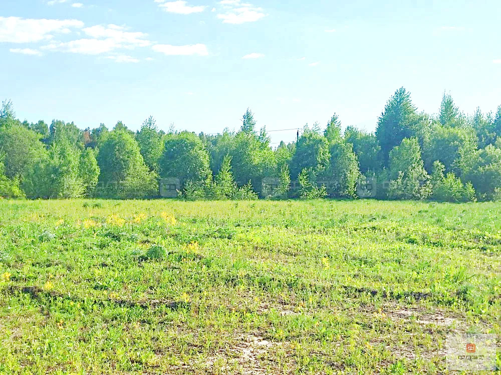 Продажа участка, Большие Кургузи, Зеленодольский район, ул. Нагорная - Фото 10