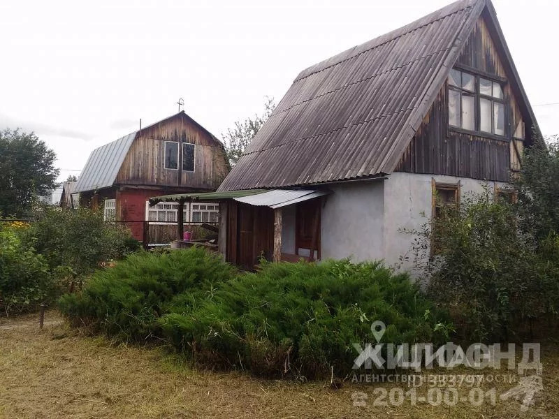 Тихие зори краснообск. СНТ Обские зори Новосибирск. Рабочий поселок Краснообск дачный поселок Обские зори. СНТ Обская волна Новосибирский.