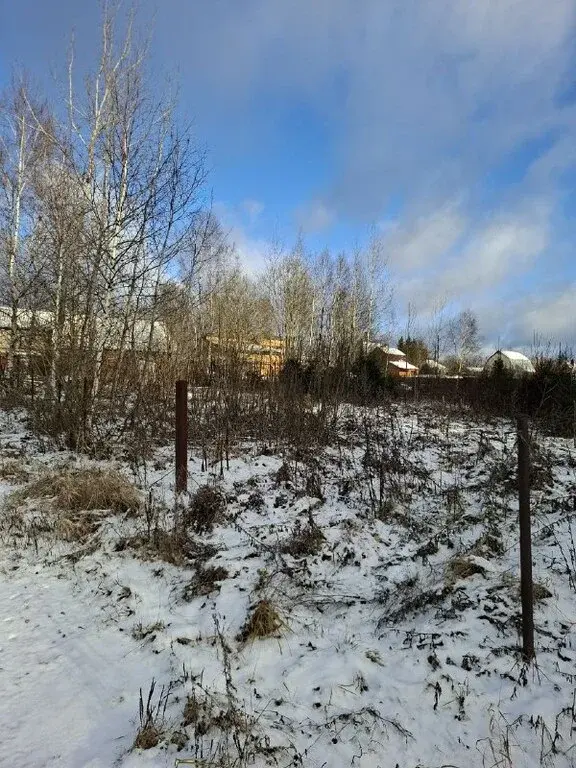 Продается большой участок земли в д. Ельники Рузский р. - Фото 3