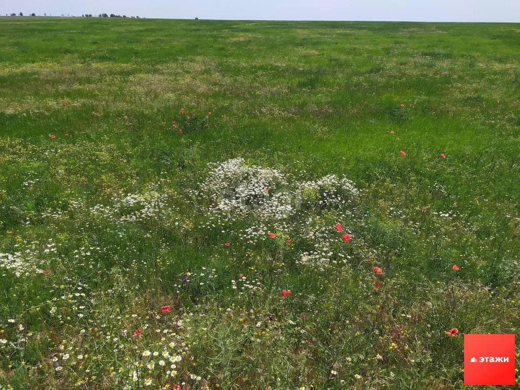Продажа участка, Ивановка, Сакский район - Фото 1