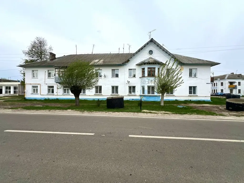 3-я квартира в п. Радовицкий, ул. Центральная, дом 15/1 - Фото 23