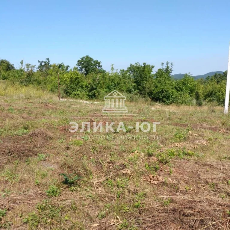 Продажа участка, Пляхо, Туапсинский район, Молодежный кв-л. - Фото 5