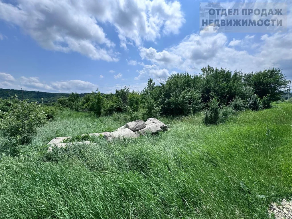 Большой участок - Фото 4