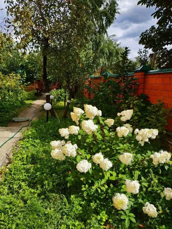 Жилой дом 311 кв.в. в Домодедово, ул. Партизанская - Фото 7
