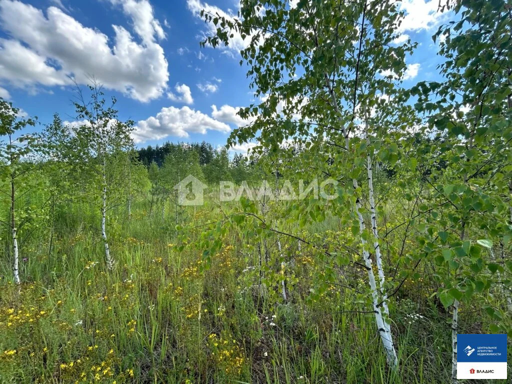 Продажа участка, Семкино, Рязанский район, коттеджный посёлок Сёмкина ... - Фото 5