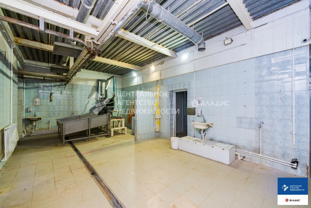 Продажа производственного помещения, Лялино, Захаровский район - Фото 10