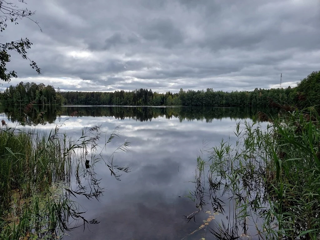 Продажа участка, Озерки(Первомайская), Выборгский район - Фото 7