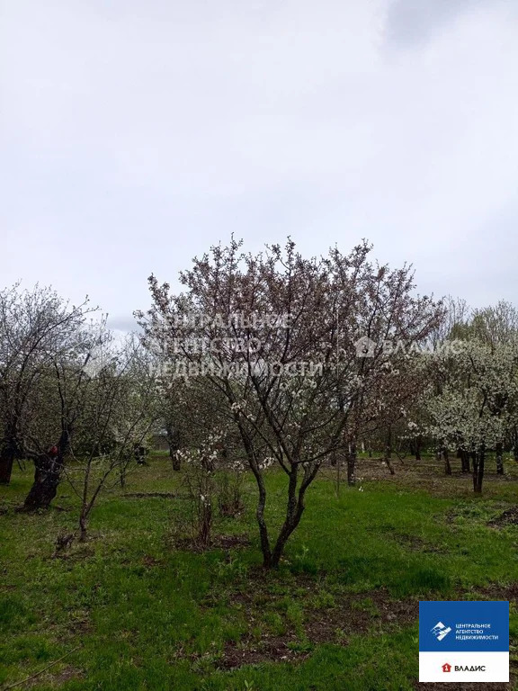 Продажа дома, Федоровка, Михайловский район, улица Новый Посёлок - Фото 15
