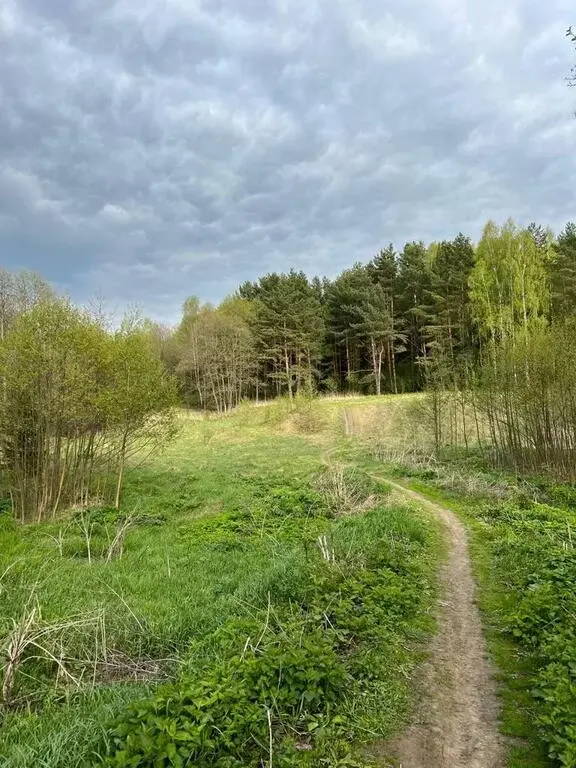 Продается жилой дом в деревне - Фото 9