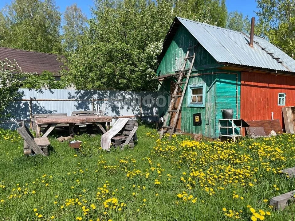 Продажа дома, Репьево, Тогучинский район - Фото 6