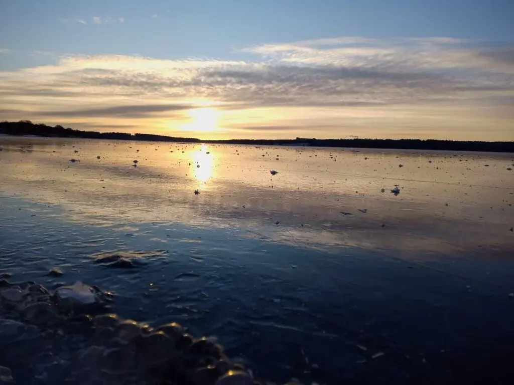 Продается большой участок земли в д. Ельники Рузский р. - Фото 5