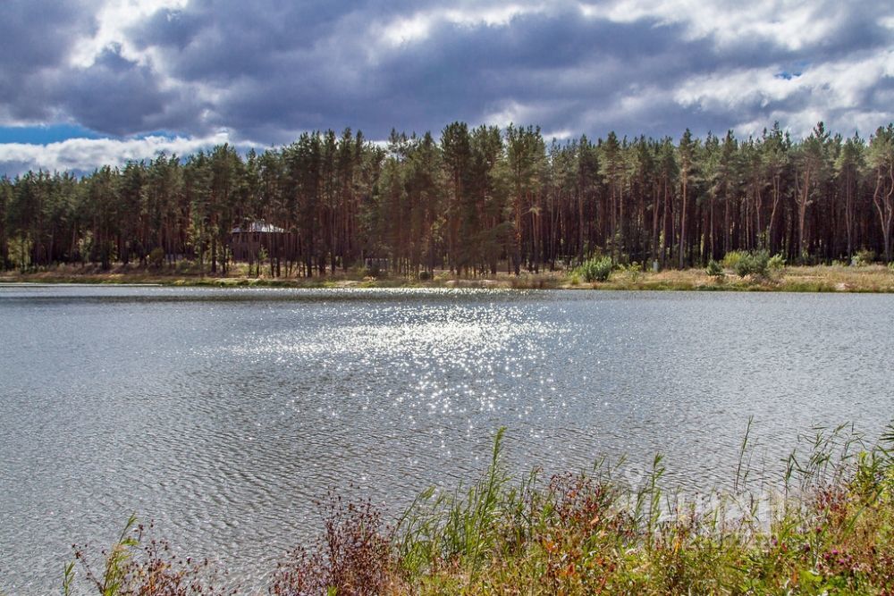 Петровские озера воронеж фото