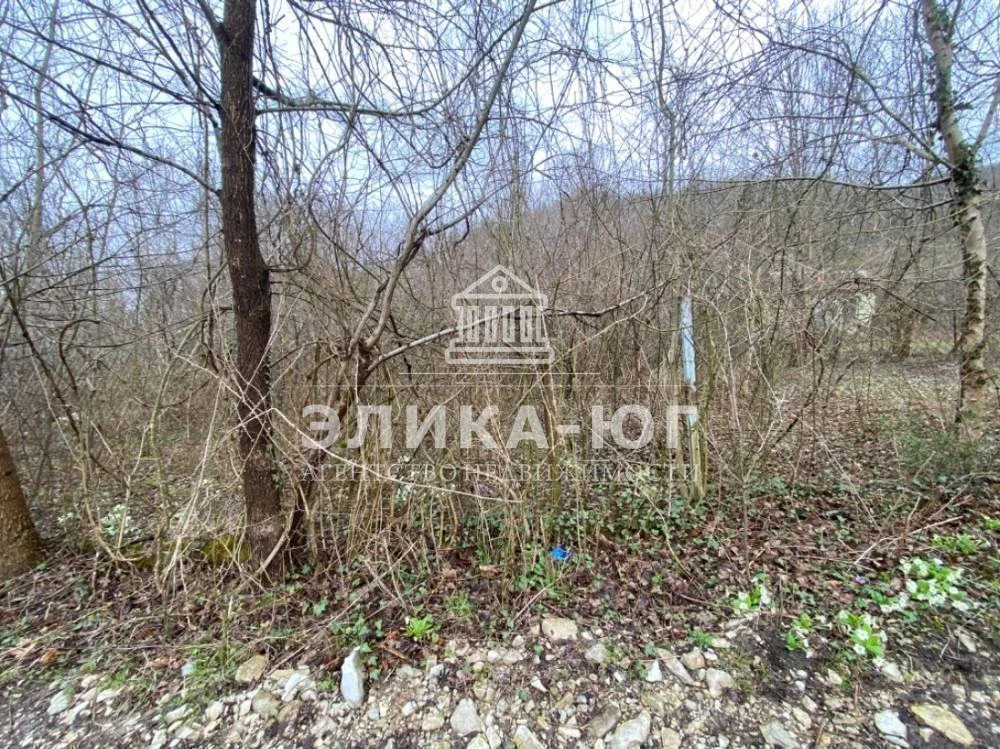 Продажа участка, Тенгинка, Туапсинский район, Прилесье - Фото 2