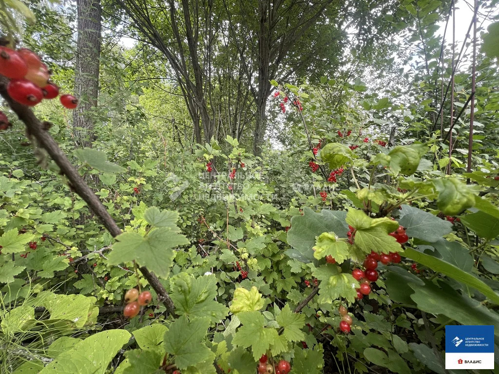 Продажа участка, Рязанский район, садовое товарищество Листвянка - Фото 6