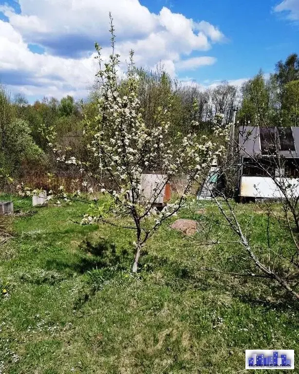 8,5 соток в д. Хметьево, СНТ Радуга - Фото 3