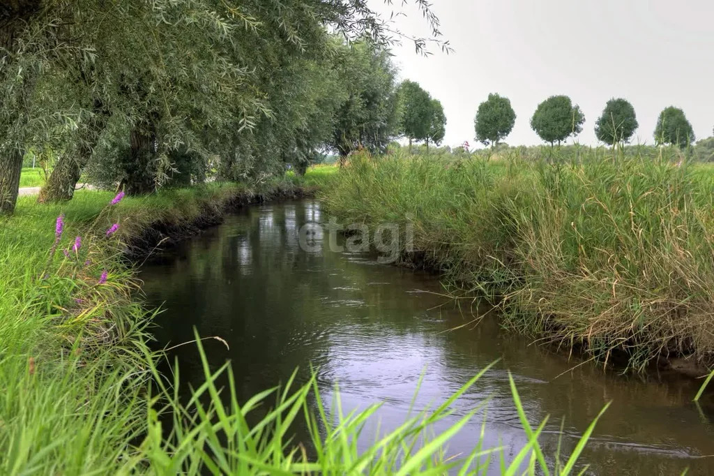 Продажа участка, Дядькино, Богородский г. о. - Фото 2