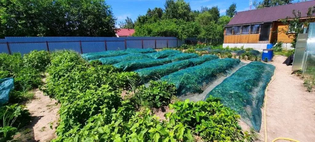 Дом в деревне Тимохино - Фото 37