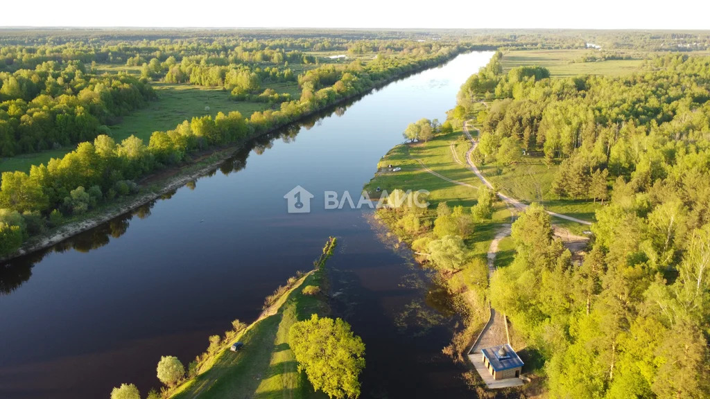 Судогодский район, село Спас-Купалище,  земля на продажу - Фото 8