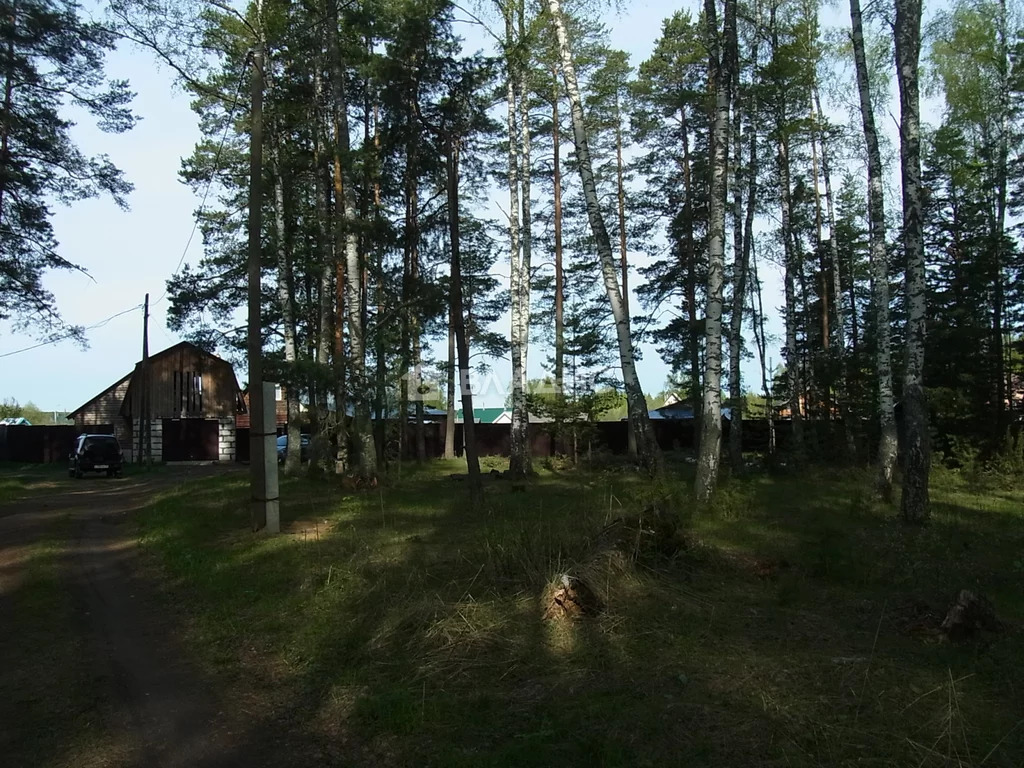 Судогодский район, село Чамерево, дом на продажу - Фото 22