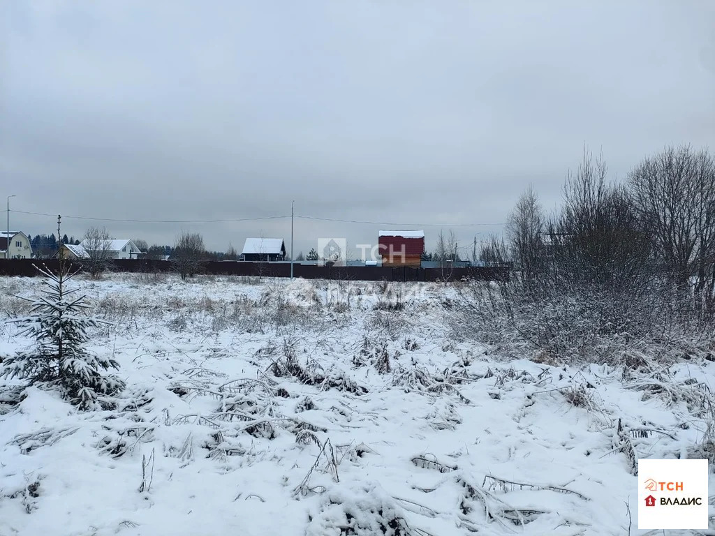 городской округ Щёлково, деревня Новопареево, 1-я Амеревская улица,  ... - Фото 0