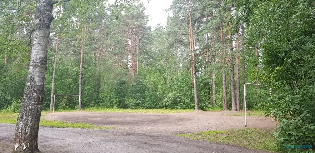 Продажа ЗУ в СНТ Сосновый бор, Куйвозовское СП, ж/д ст. 47 км - Фото 17