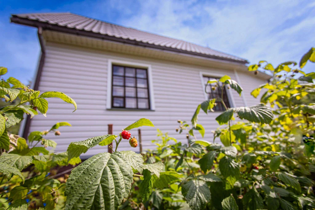 Дача у Вуоксы, всего 200 метров до воды – живите ближе к природе! - Фото 8