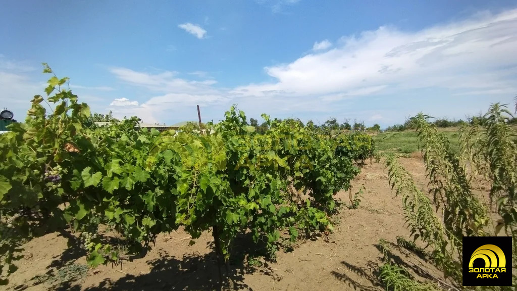 Продажа дома, Приазовский, Темрюкский район, ул. Комарова - Фото 7