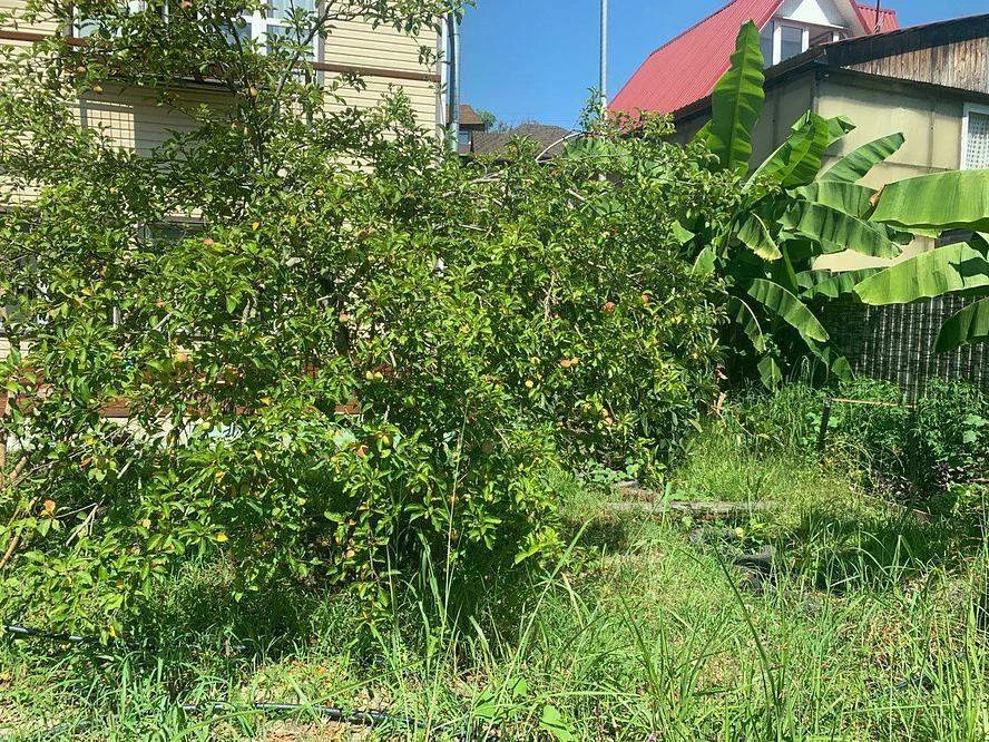 Коттедж 157 м2 на участке 6 сот. - Фото 3