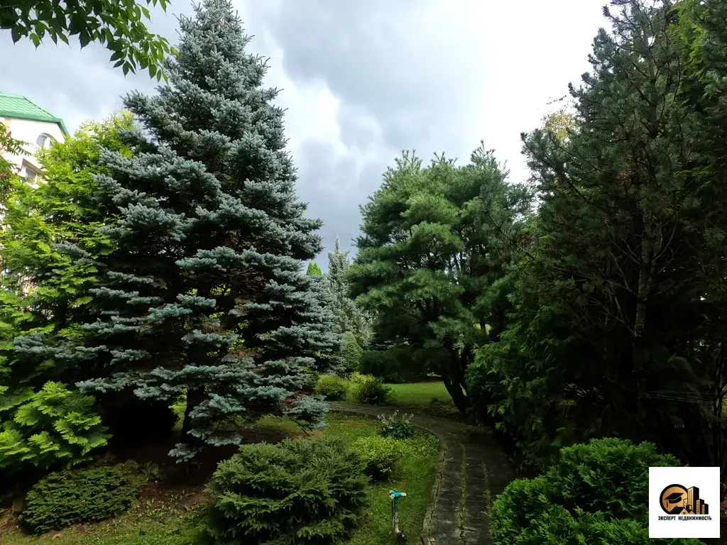 Продаётся дом в Подльске - Фото 6