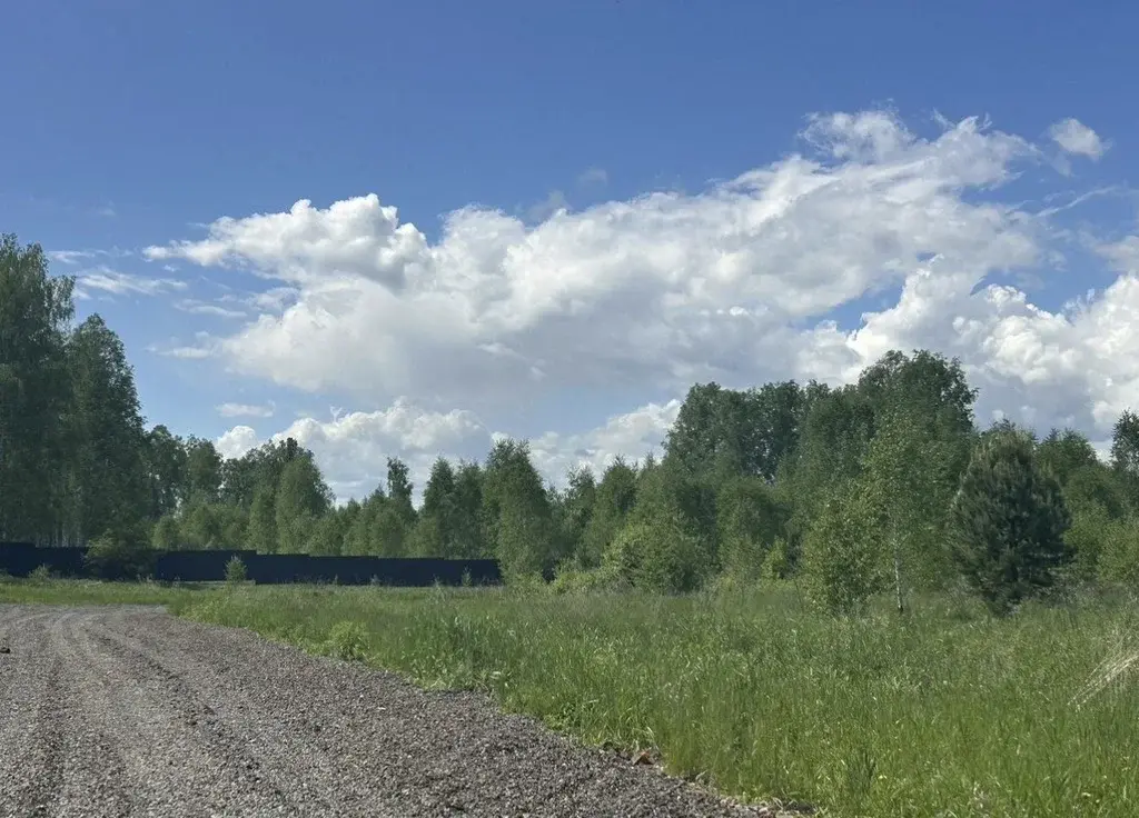 Земельный участок у леса - Фото 6