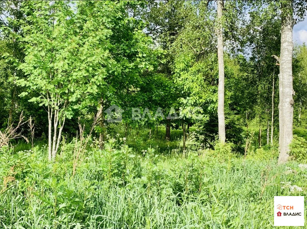 Продажа участка, Дмитровский район, улица Братьев Политовых - Фото 5