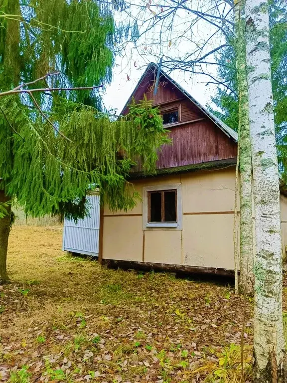 Продажа дачи в сад-ве Новинка. - Фото 1