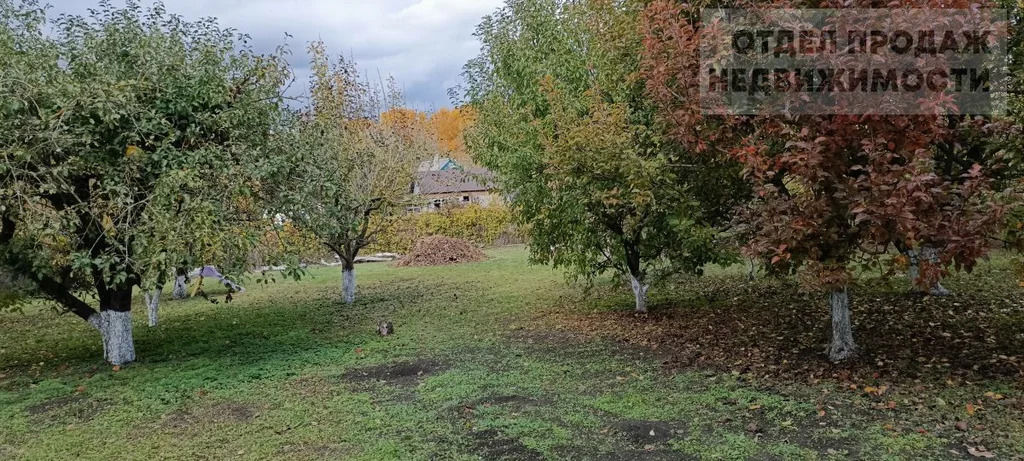 Дом в пригороде на участке 17 соток - Фото 5