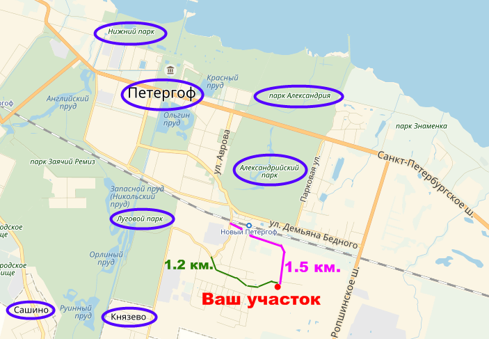 Карта лугового парка в петергофе