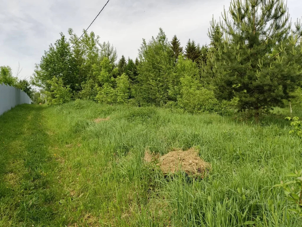 Продажа участка, Батюшково, Дмитровский район - Фото 2