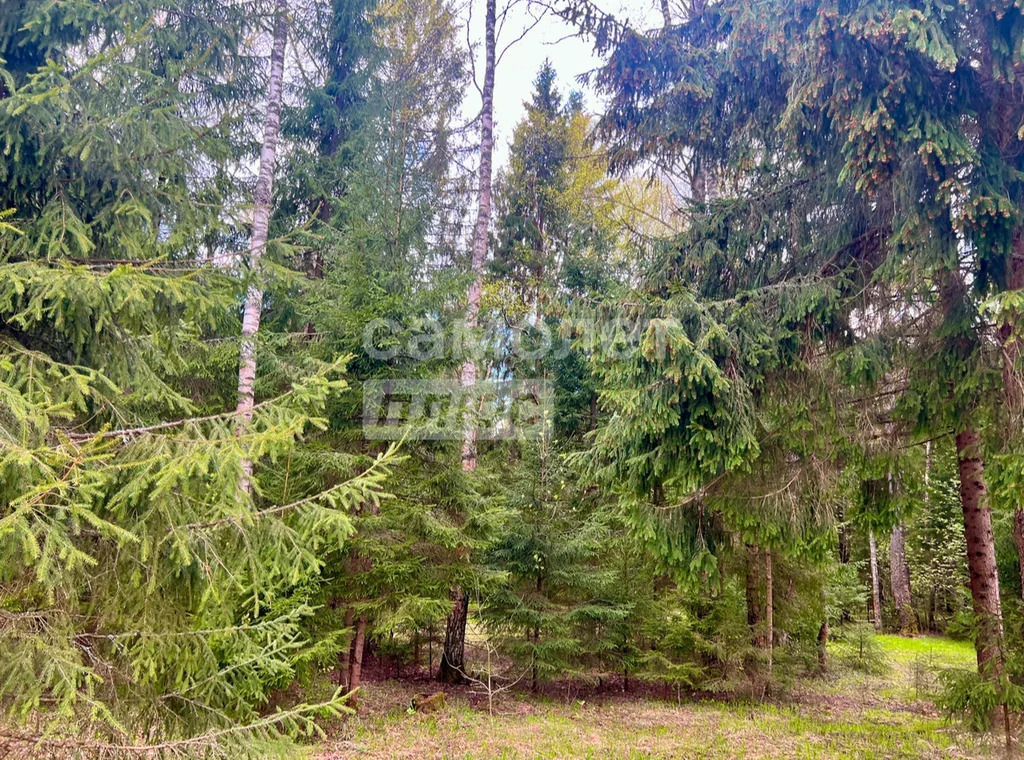 Продажа дома, Талдомский район - Фото 26