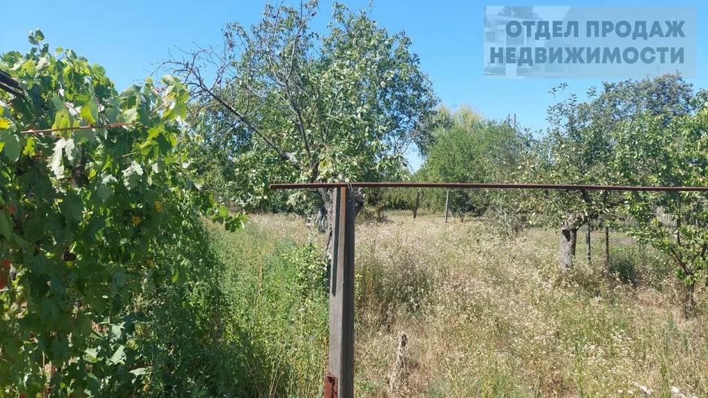 Дом с большим участком - Фото 26