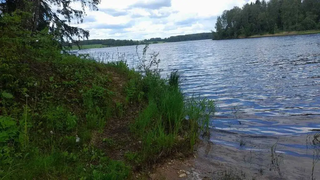 Продажа 38 га на первой линии Вазузского Тверская обл.Зубцовский р-н - Фото 4