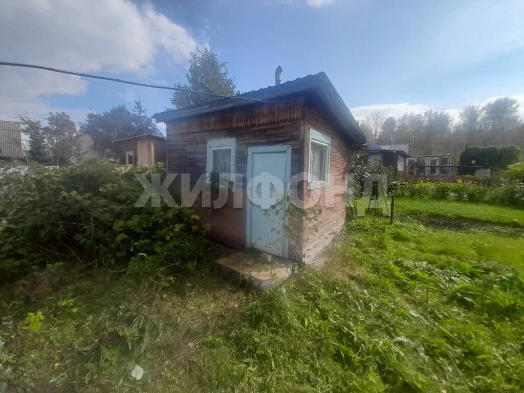 Продажа дома, Льниха, Тогучинский район - Фото 8