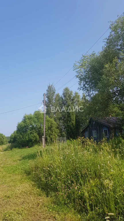 Судогодский район, деревня Ушаково,  земля на продажу - Фото 7