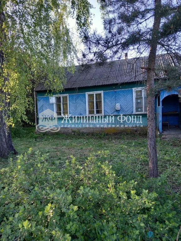 Продажа дома, Хмелевская, черемисиновский район - Фото 2