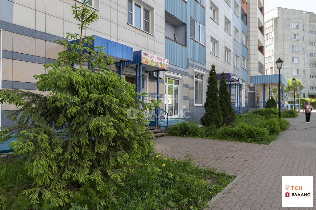 Продажа квартиры, Ивантеевка, ул. Рощинская - Фото 37