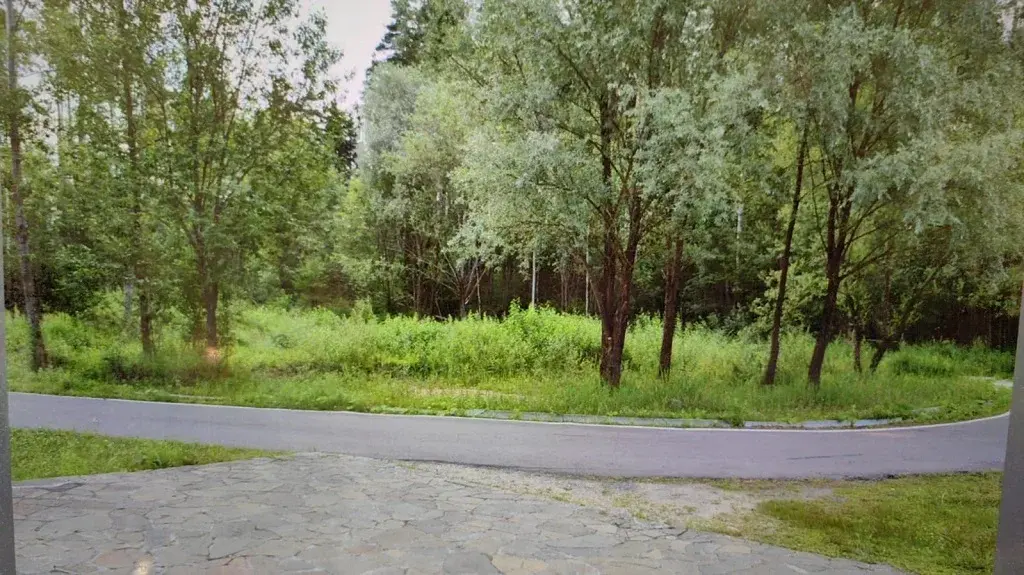 Продажа лесного участка в тихом месте на Рублевке на Николиной горе - Фото 12