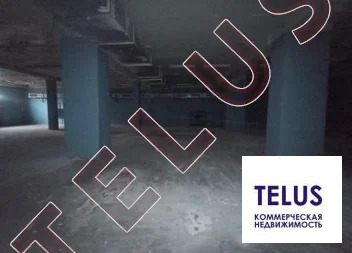 МО, Ногинск, Доможировский переулок,1372 м2, Помещения под ... - Фото 7