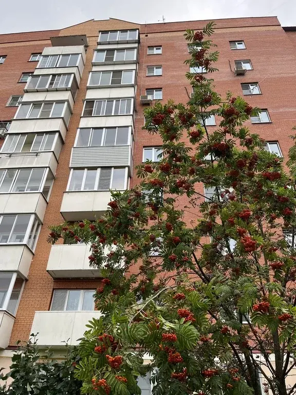 Продам 3-комн. квартиру в г. Голицыно с классным ремонтом. - Фото 13