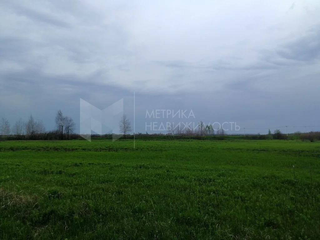 Продажа земельного участка, Тураева, Тюменский район, Тюменский р-н - Фото 3