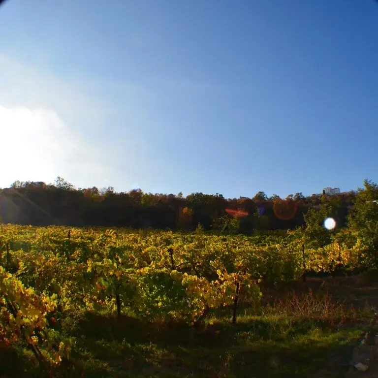 Апартаменты Приморском парке в Ялте - Фото 11