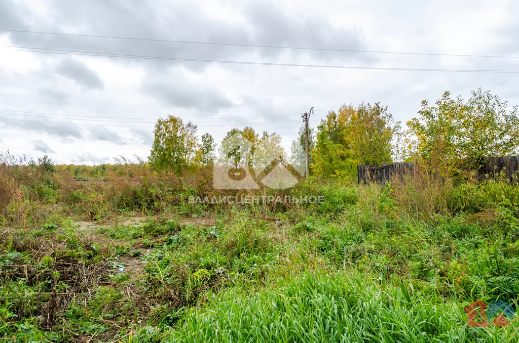 городской округ Новосибирск, Новосибирск, Калининский район, ... - Фото 38