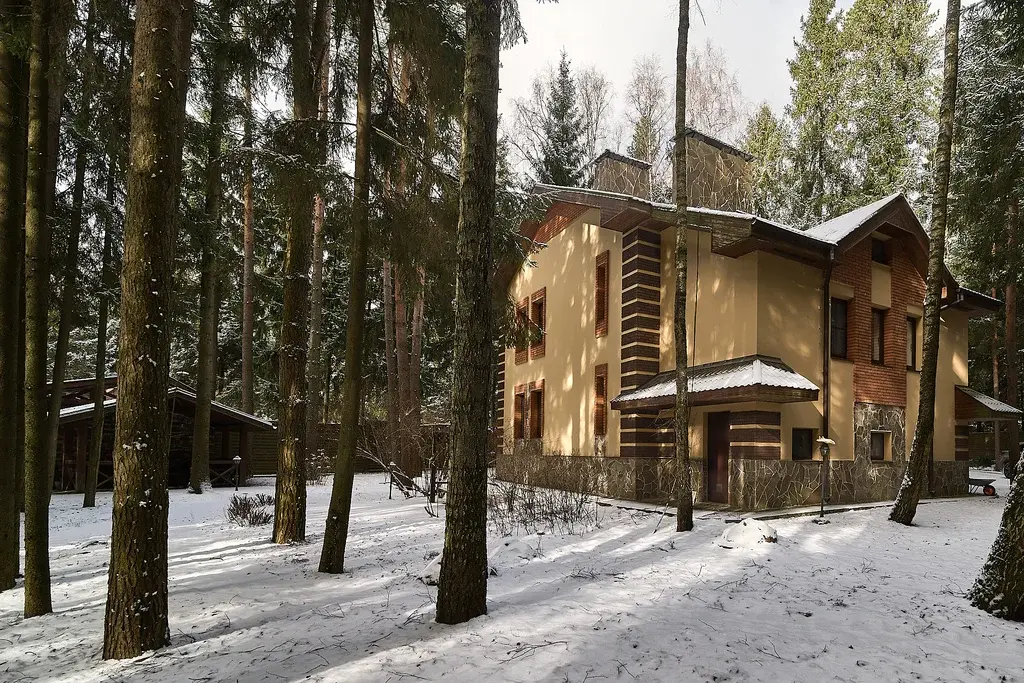 Дом 245м.кв, с.Истье, кп "Ковчег" - Фото 6