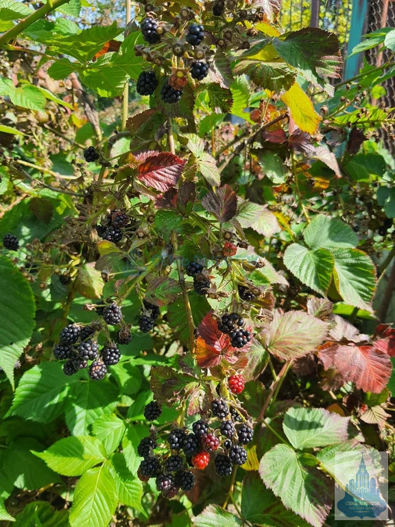 Продажа дома, Подольский район, 12 - Фото 35